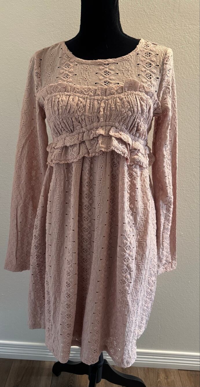Women's Listicle Mauve Eyelet Lace Long Sleeve Babydoll Mini Dress NWT Medium